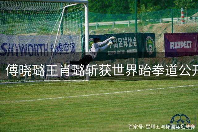 傅晓璐王肖璐斩获世界跆拳道公开赛双冠